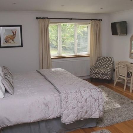 Cherry Tree Guesthouse Bradford-On-Avon Zimmer foto